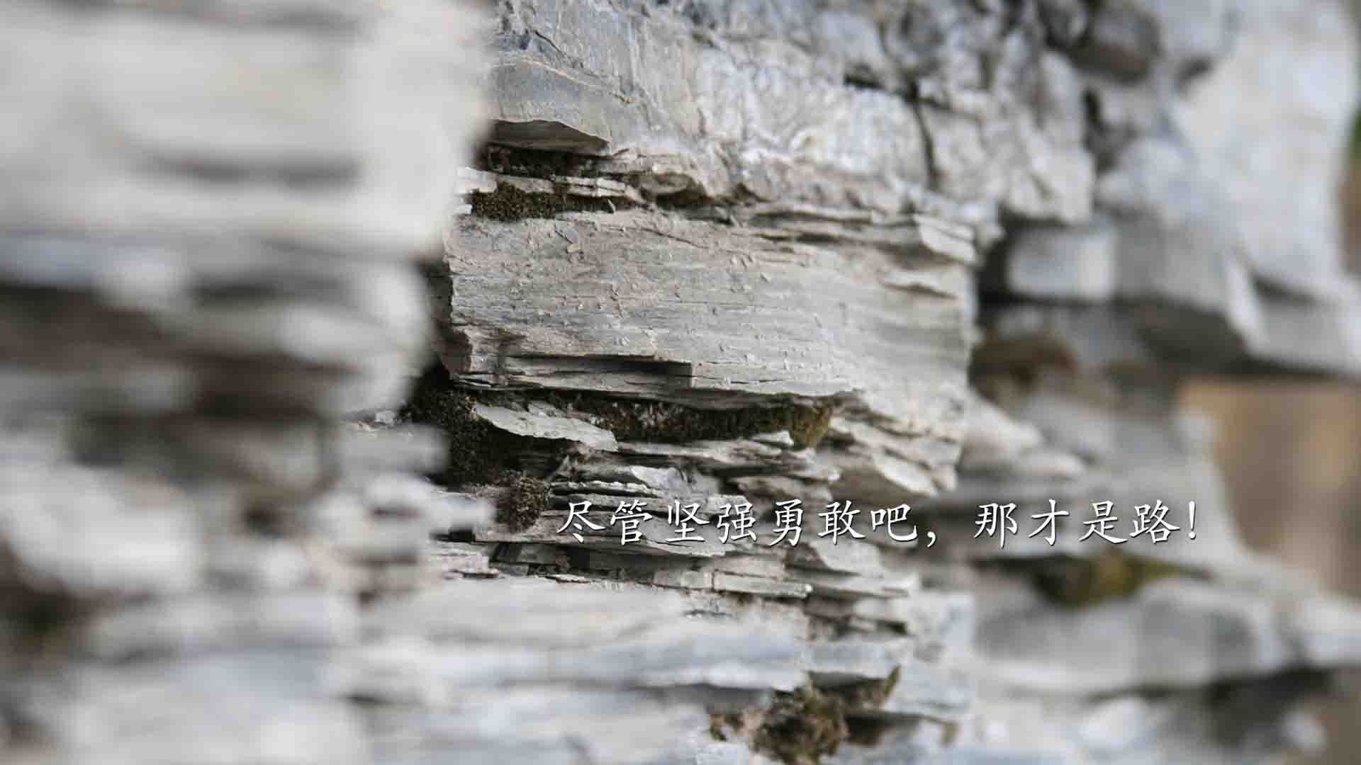 比利时骑手多米安·米歇尔斯在2024年巴黎奥运会盛装舞步比赛中以“Dante”马匹获得第六名，展现坚韧精神。