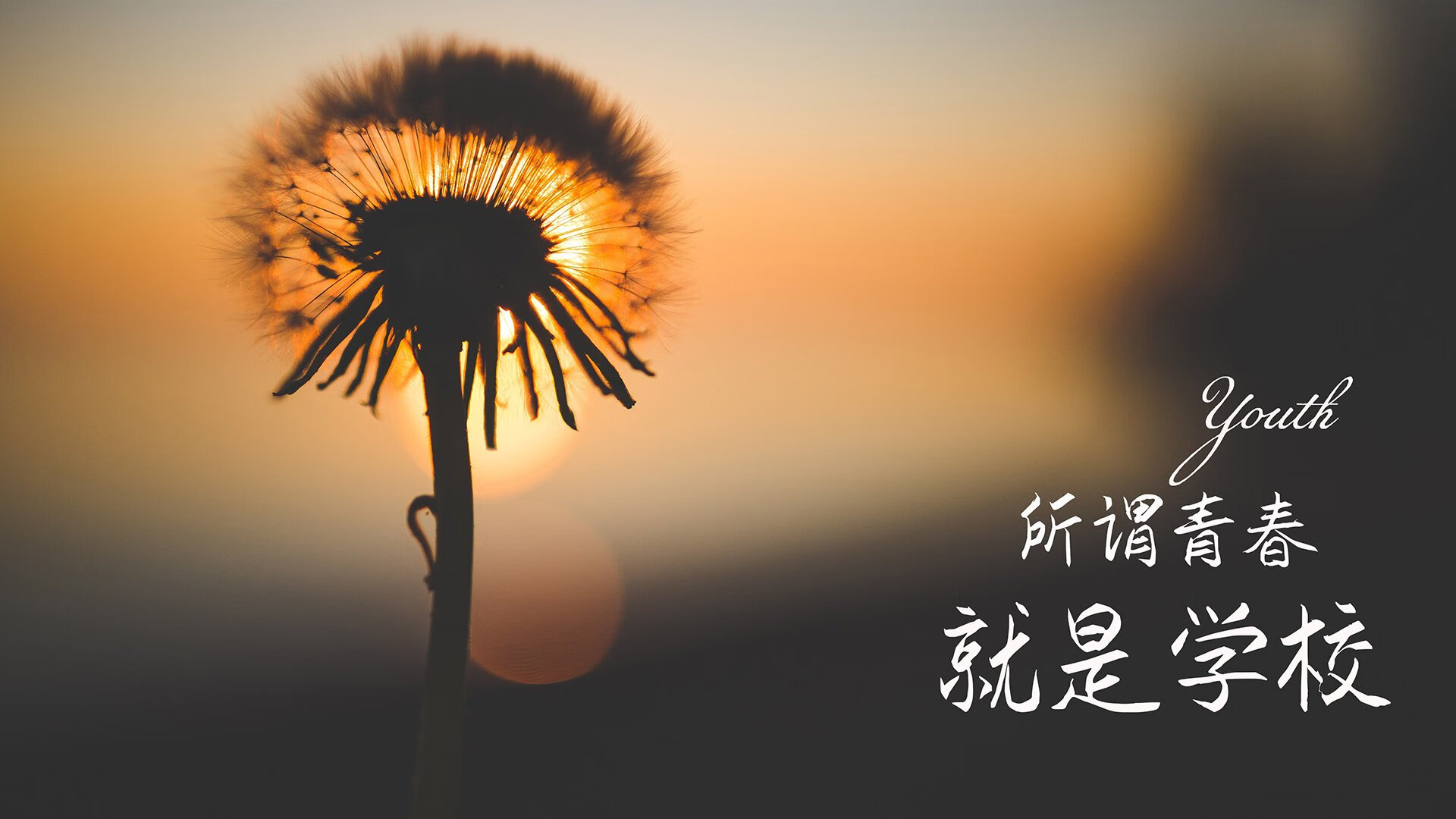 转会截止圈：五大联赛最炸裂的交易幕后揭秘，五大联赛转会关闭时间