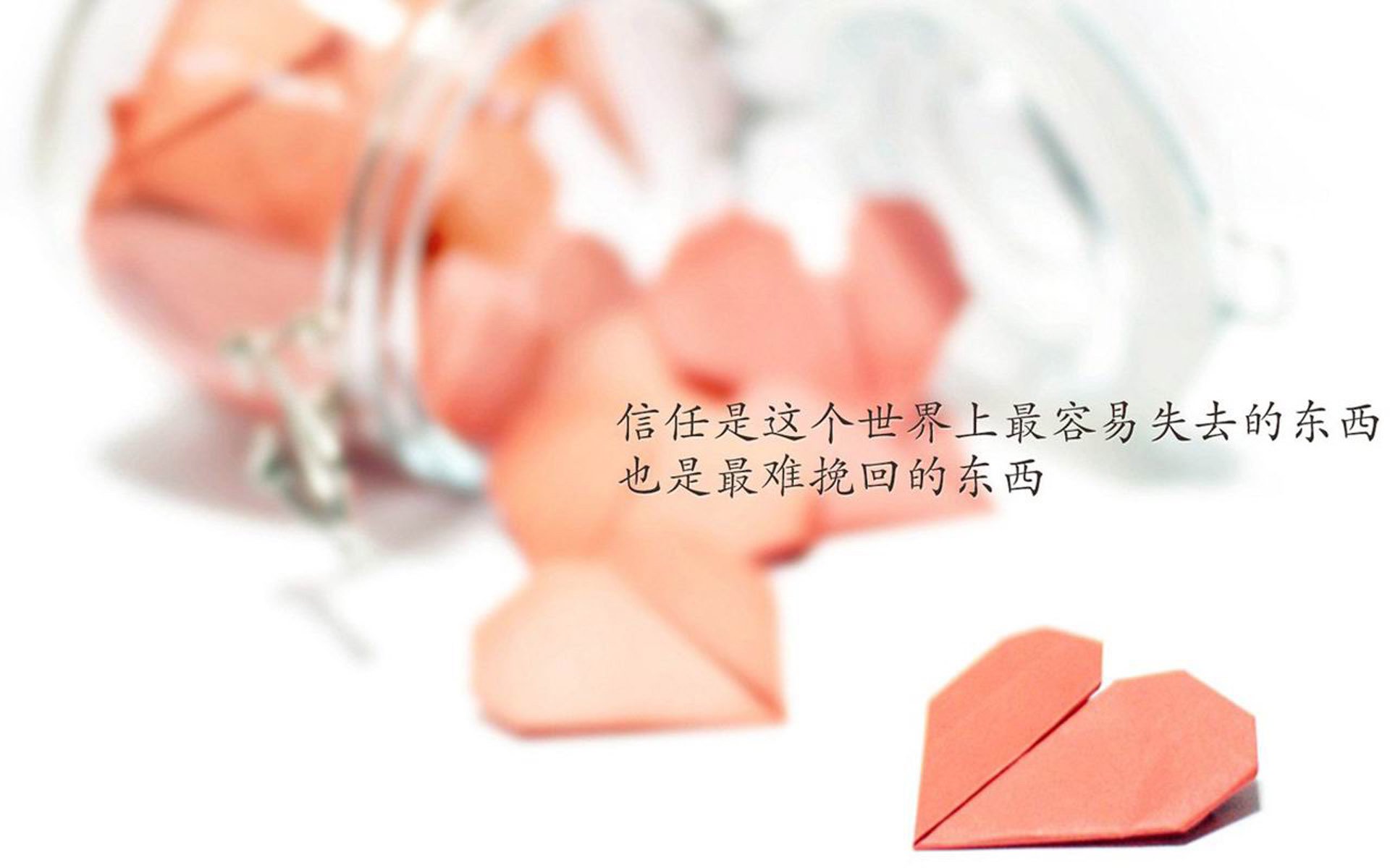 Aster选手个人荣誉榜添新星，aster新阵容