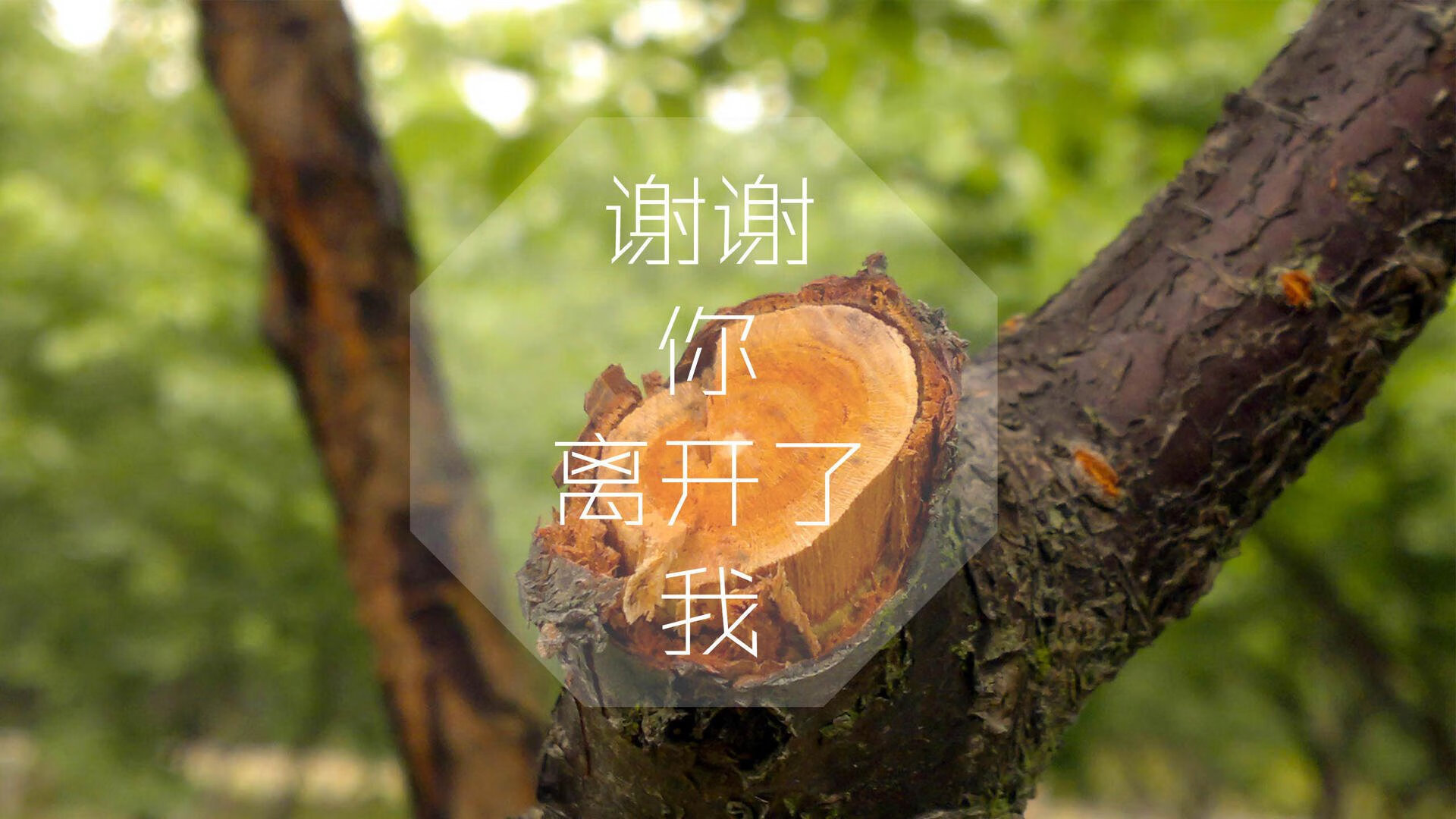 挑战技战术的比赛，策略变幻莫测，技法挑战