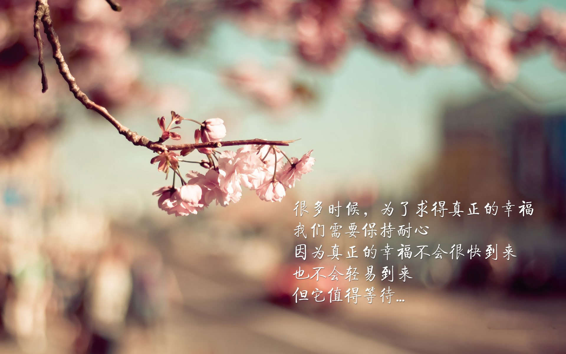美洲赛区新星迅速崛起，美洲赛场