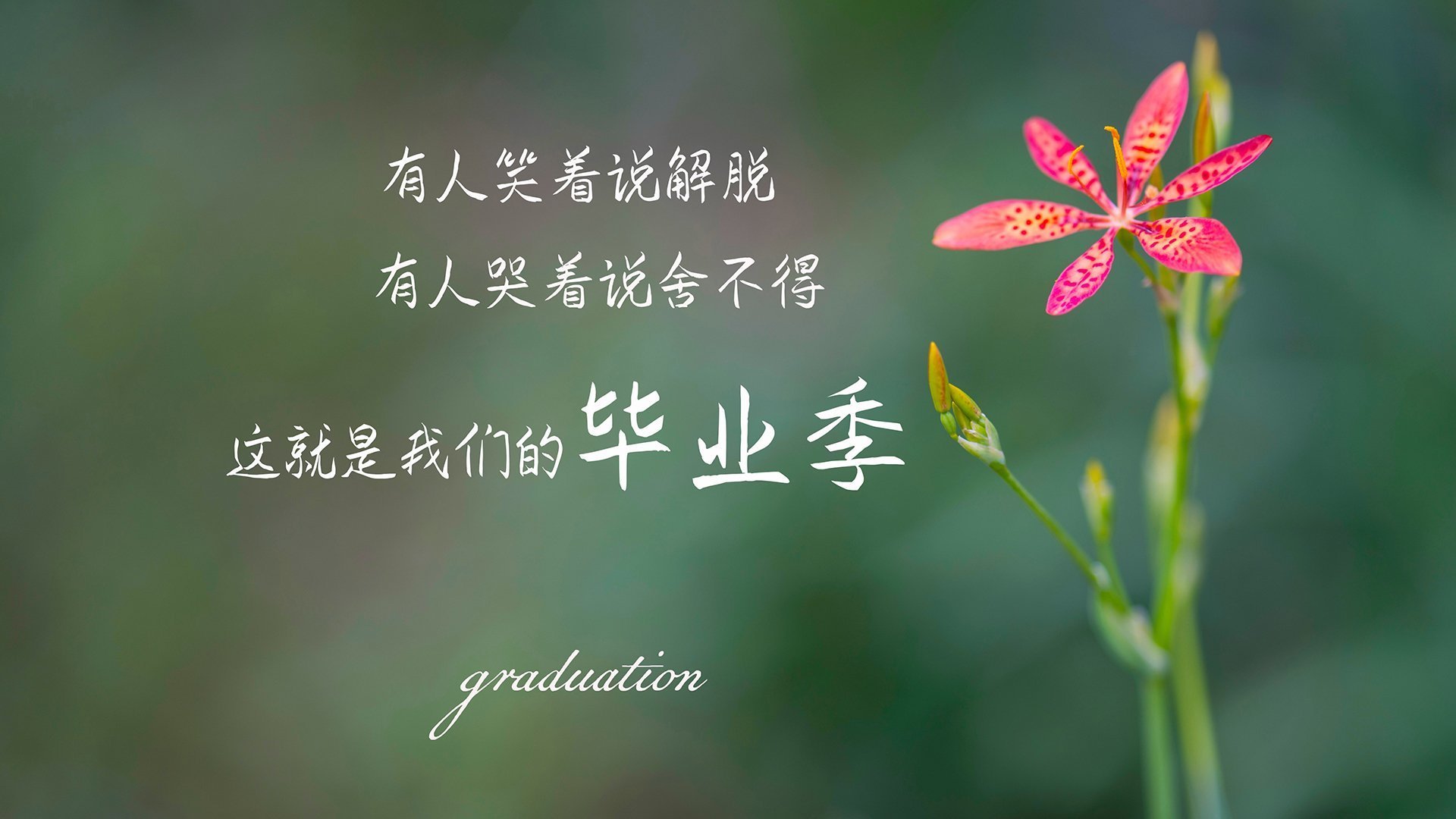 莱比锡红牛教练组进行 tictacs 战术调整，寻求突破，莱比锡红牛比赛视频