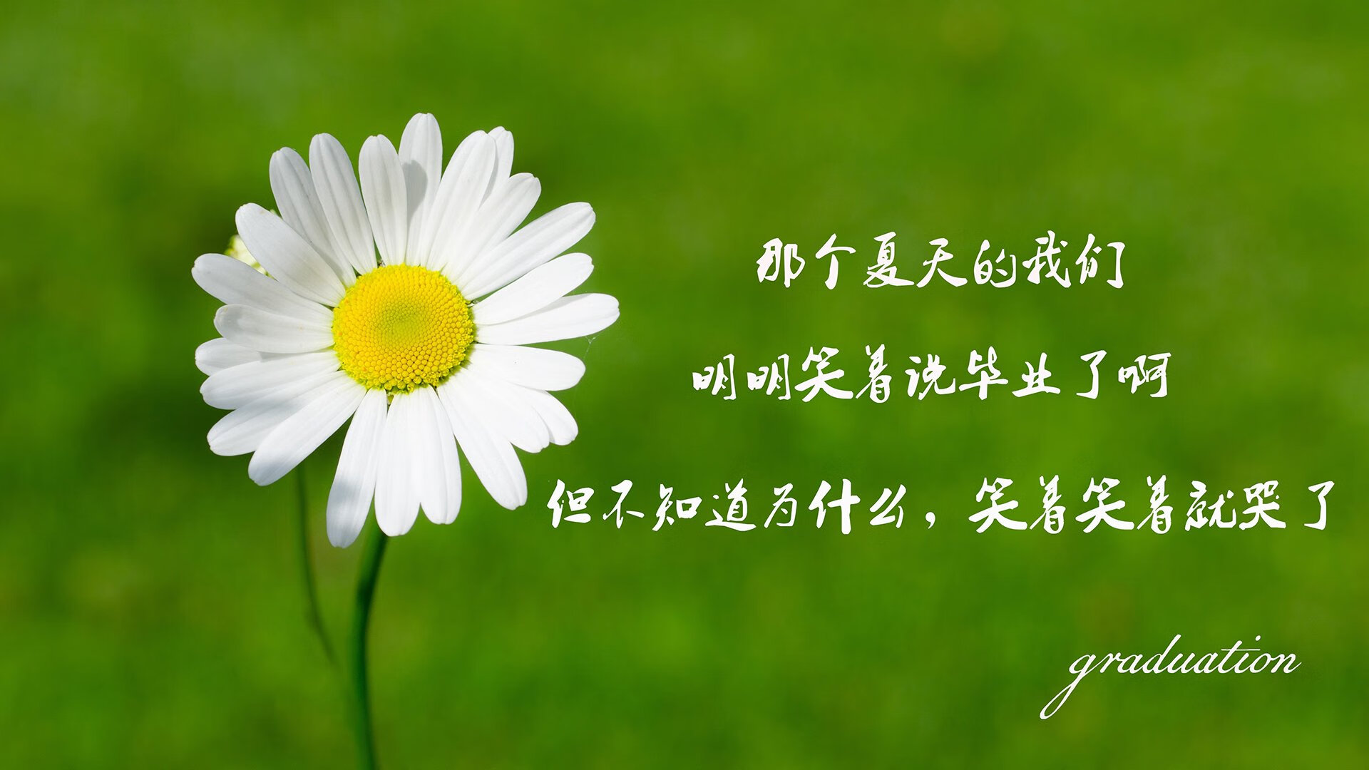 新西兰女子橄榄球队崭露头角，成为全球新兴力量，新西兰女子篮球队